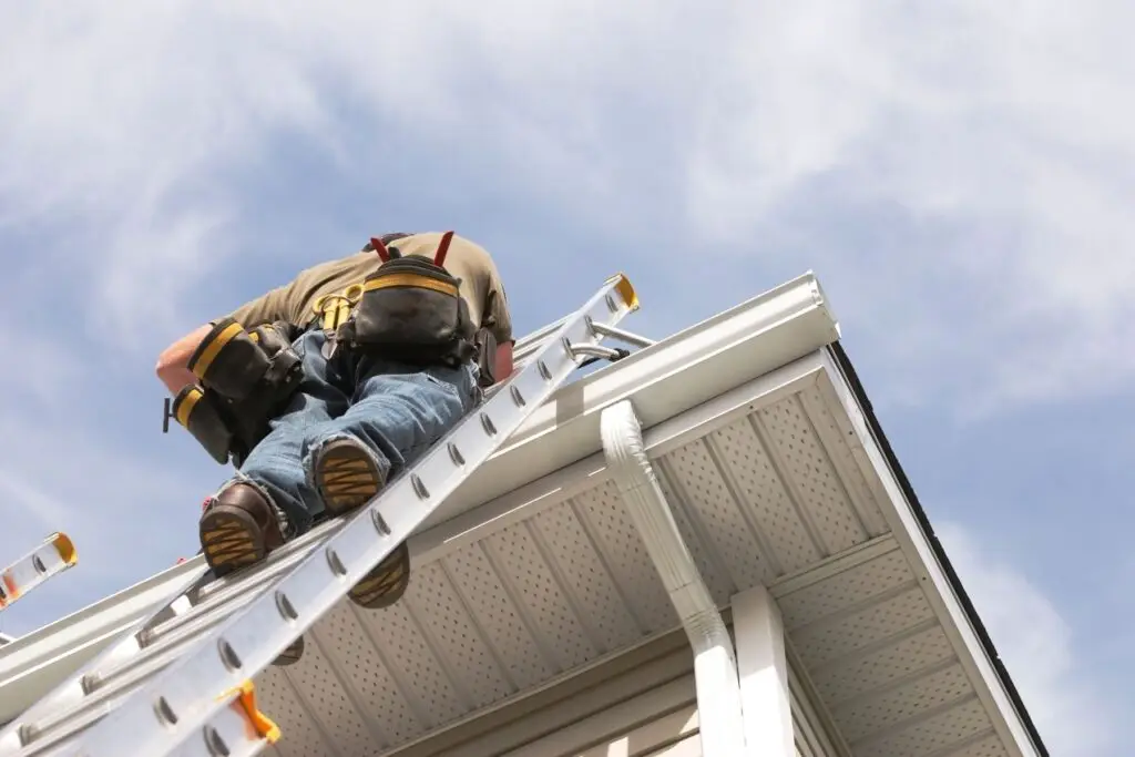 roof gutter cleaning ladder